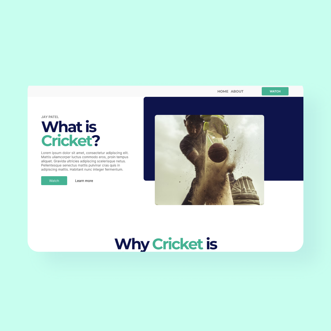 Cricket Website Mockup